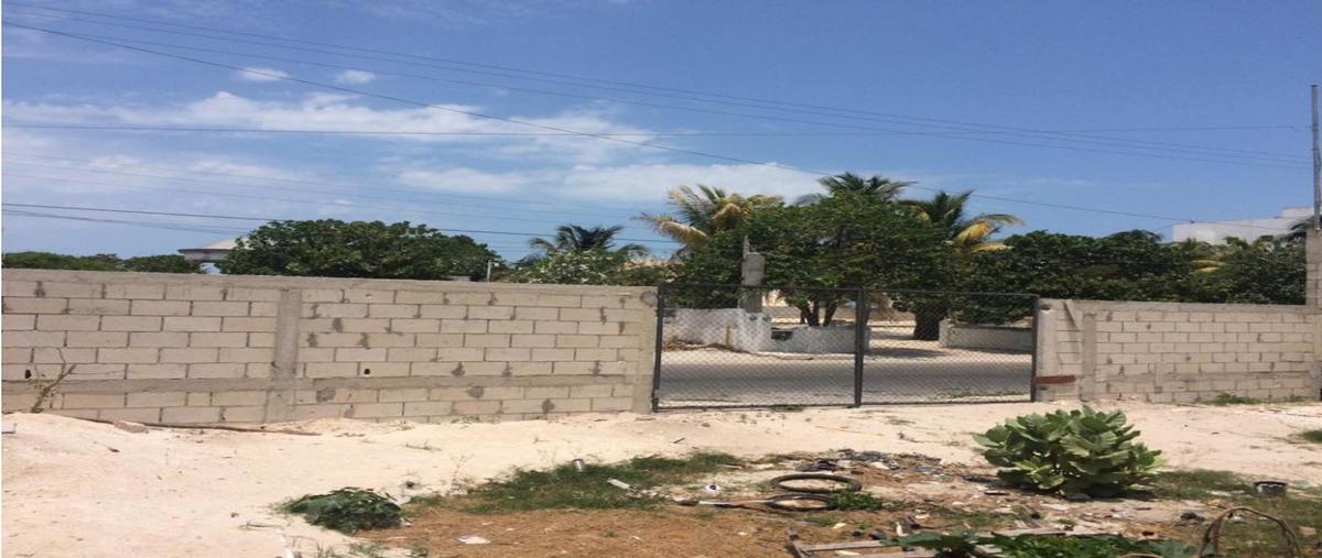 Foto de terreno habitacional en venta en  , los cocos, mérida, yucatán, 0 No. 04