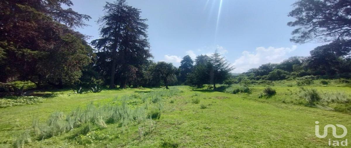 Foto de terreno habitacional en venta en los colorines , bermúdez, huasca de ocampo, hidalgo, 30111722 No. 03