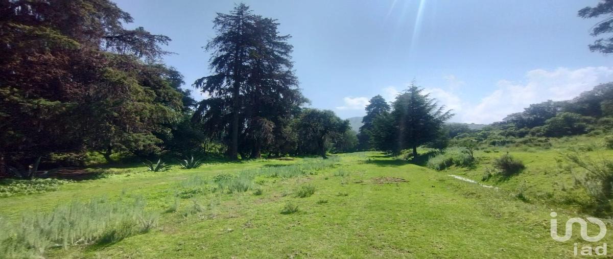 Foto de terreno habitacional en venta en los colorines , bermúdez, huasca de ocampo, hidalgo, 30111722 No. 04