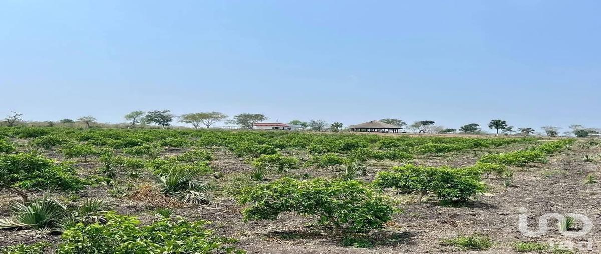 Foto de terreno habitacional en venta en los coyotes , topila, tampico alto, veracruz de ignacio de la llave, 0 No. 05