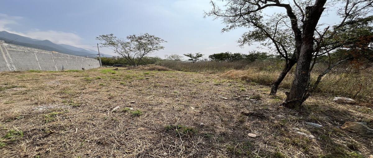 Foto de terreno habitacional en venta en  , los cristales, monterrey, nuevo león, 26938027 No. 04