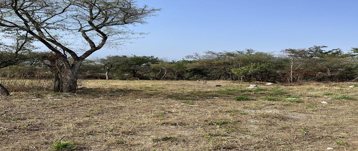 Foto de terreno habitacional en venta en  , los cristales, monterrey, nuevo león, 26938027 No. 05