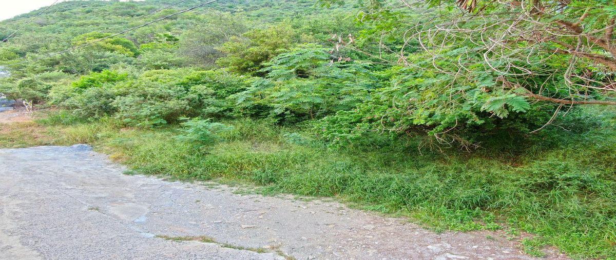 Foto de terreno habitacional en venta en  , los cristales, monterrey, nuevo león, 0 No. 03