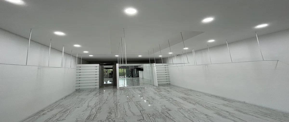 Foto de local en renta en  , los cristales, monterrey, nuevo león, 0 No. 04