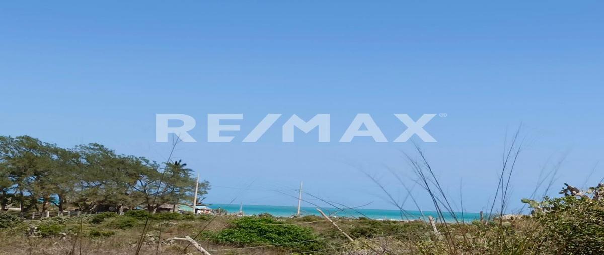 Foto de terreno habitacional en venta en los delfines , predio la fuente, pueblo viejo, veracruz de ignacio de la llave, 28177360 No. 03