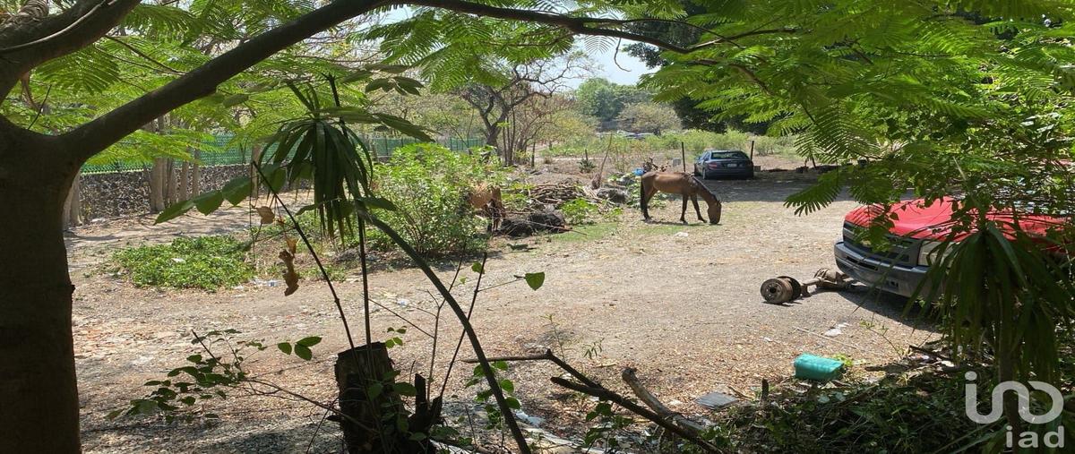 Foto de terreno habitacional en venta en los doctores 161, lomas de jiutepec, jiutepec, morelos, 28719697 No. 04