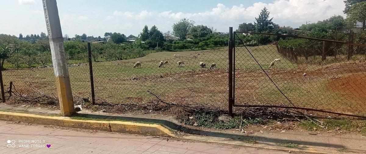 Foto de terreno habitacional en venta en  , los domínguez, villa del carbón, méxico, 0 No. 03