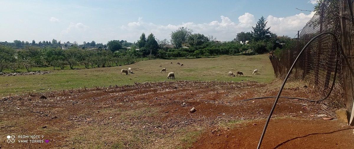 Foto de terreno habitacional en venta en  , los domínguez, villa del carbón, méxico, 0 No. 04