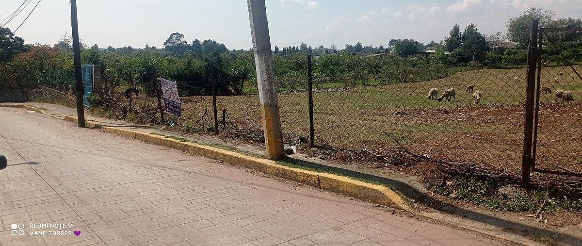 Foto de terreno habitacional en venta en  , los domínguez, villa del carbón, méxico, 0 No. 05