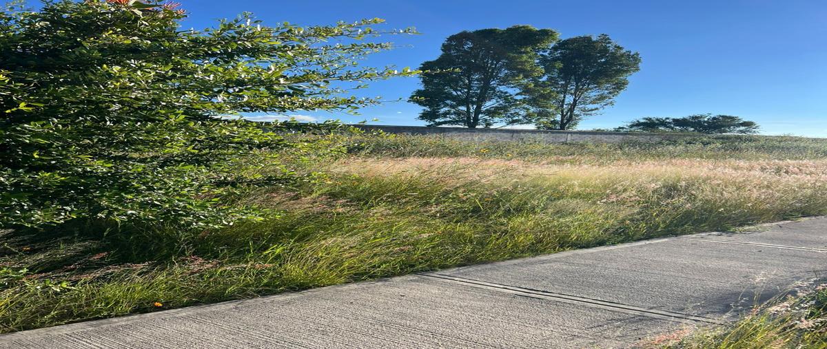 Foto de terreno habitacional en los encinos club de golf , el peral, huimilpan, querétaro, 0 foto 01 Foto de terreno habitacional en venta en los encinos club de golf , el peral, huimilpan, querétaro, 0 No. 01