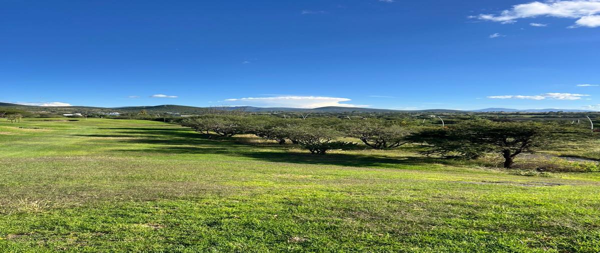 Foto de terreno habitacional en los encinos club de golf , el peral, huimilpan, querétaro, 0 foto 05 Foto de terreno habitacional en venta en los encinos club de golf , el peral, huimilpan, querétaro, 0 No. 05