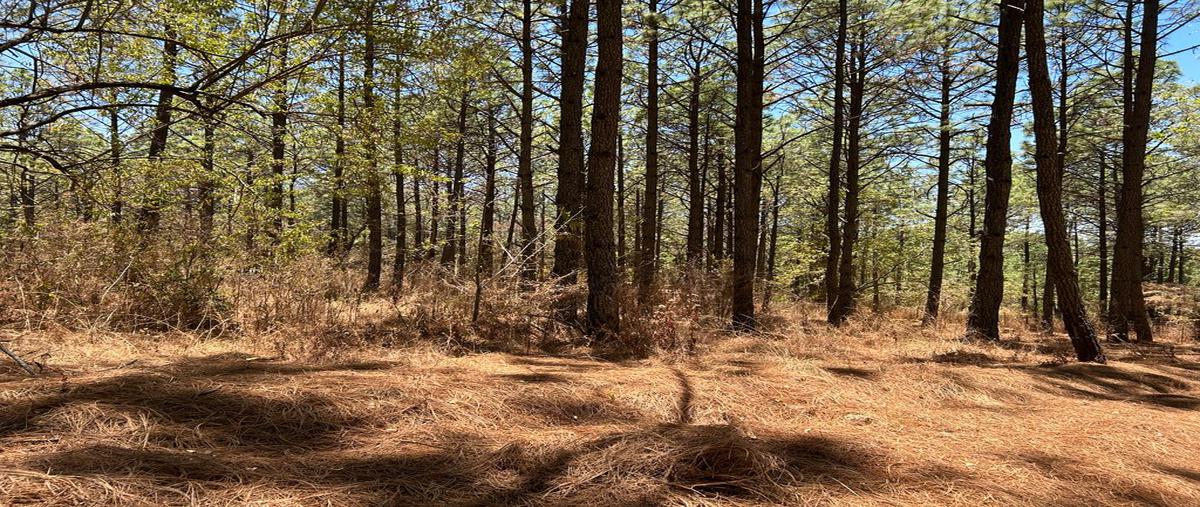 Foto de terreno habitacional en venta en los espinos , los espinos, tapalpa, jalisco, 26396928 No. 04