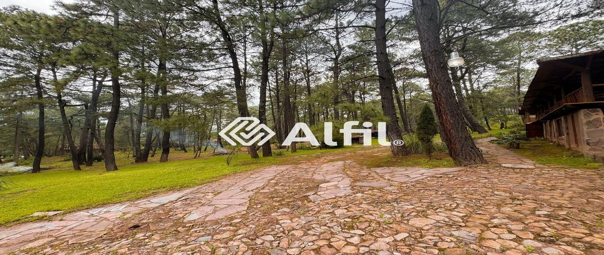 Foto de casa en venta en  , los espinos, tapalpa, jalisco, 28664768 No. 04