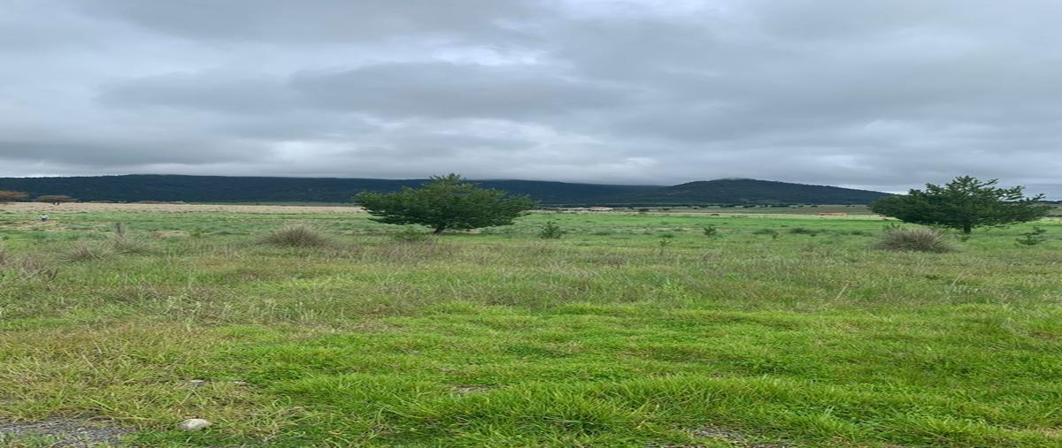 Foto de terreno habitacional en venta en  , los espinos, tapalpa, jalisco, 0 No. 03