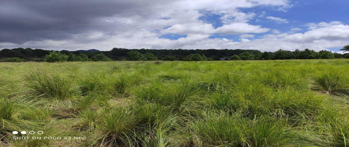 Foto de terreno habitacional en venta en  , los espinos, tapalpa, jalisco, 0 No. 05