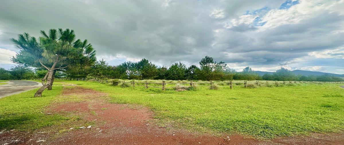 Foto de terreno habitacional en venta en  , los espinos, tapalpa, jalisco, 29928809 No. 04