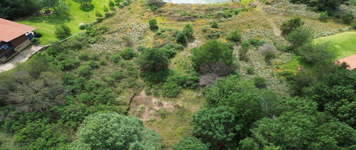 Foto de terreno habitacional en , los espinos, tapalpa, jalisco, 30450255 foto 05 Foto de terreno habitacional en venta en , los espinos, tapalpa, jalisco, 30450255 No. 05