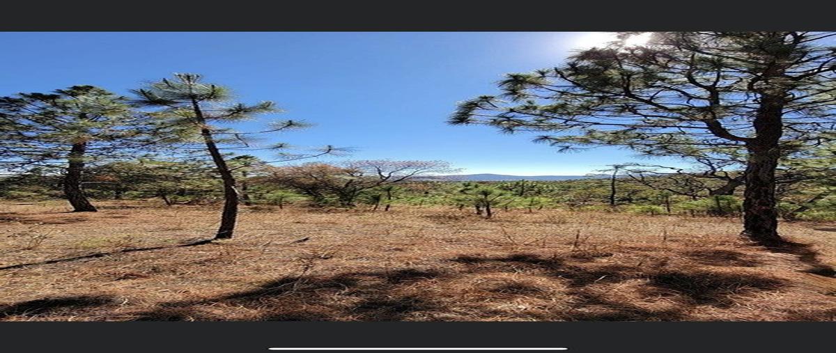 Foto de terreno habitacional en venta en  , los espinos, tapalpa, jalisco, 0 No. 05