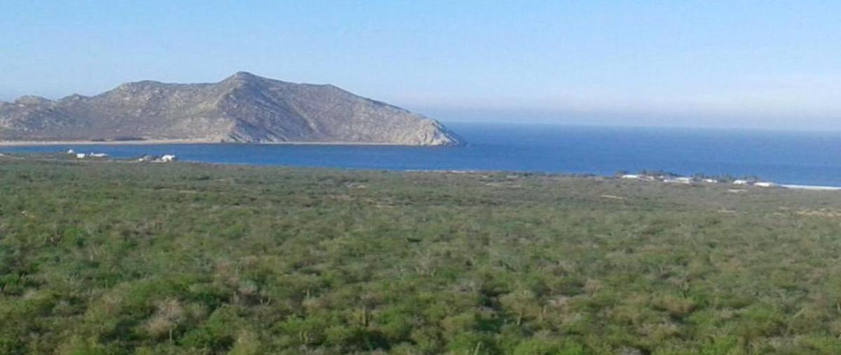 Foto de terreno habitacional en venta en  , los frailes, los cabos, baja california sur, 0 No. 03