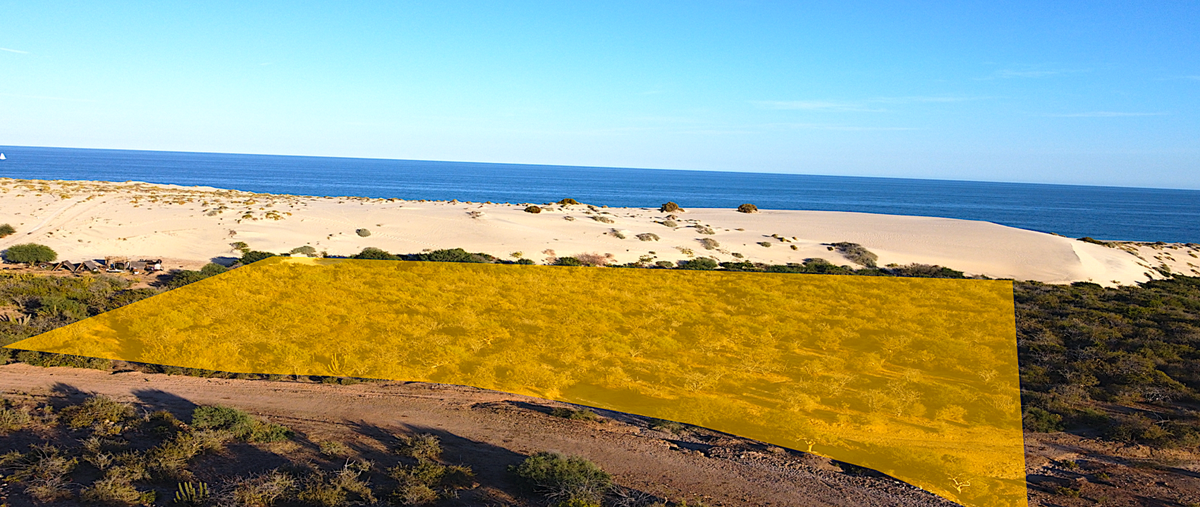 Foto de terreno habitacional en venta en  , los frailes, los cabos, baja california sur, 0 No. 03