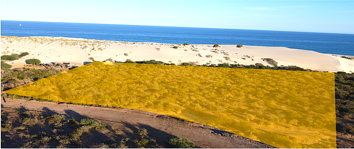 Foto de terreno habitacional en venta en  , los frailes, los cabos, baja california sur, 0 No. 04