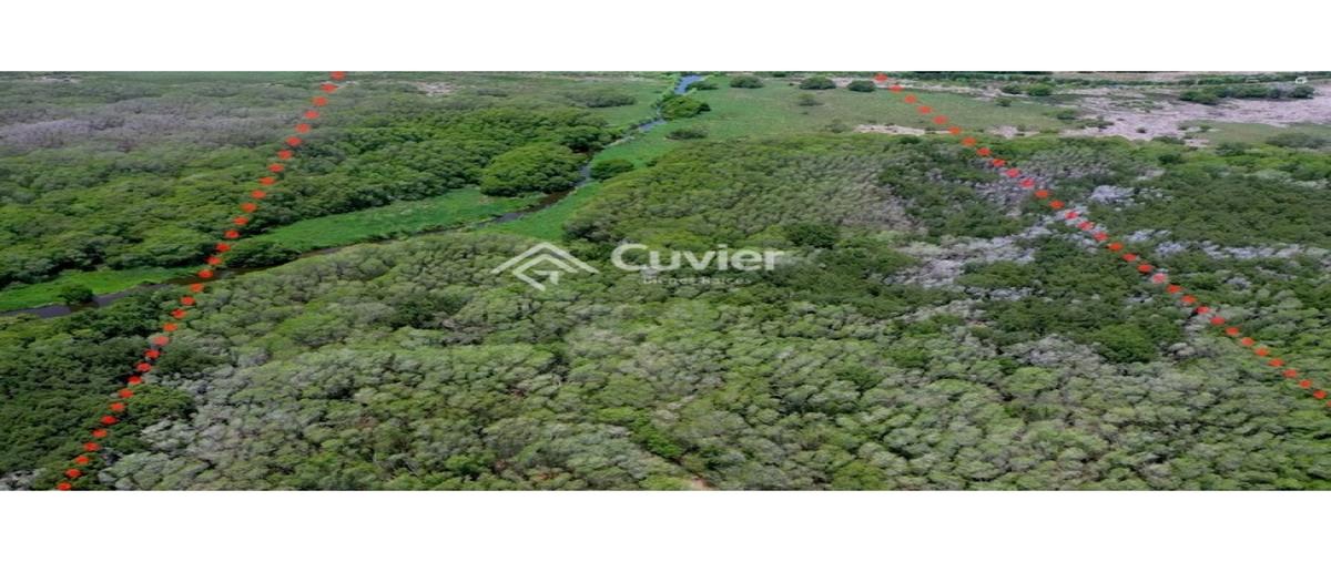 Foto de terreno habitacional en , los fresnos, altamira, tamaulipas, 0 foto 02 Foto de terreno habitacional en venta en , los fresnos, altamira, tamaulipas, 0 No. 02