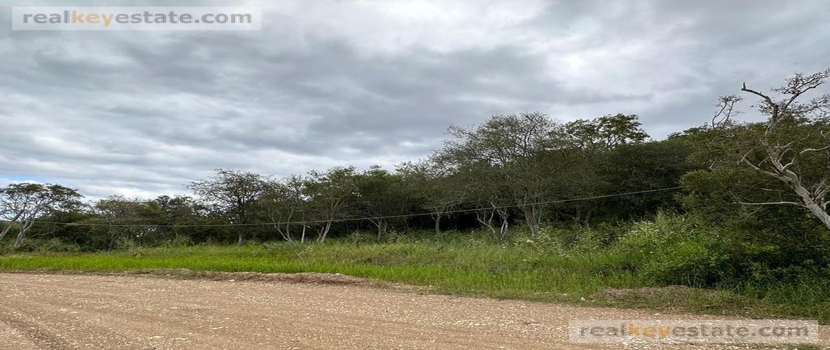Foto de terreno habitacional en venta en  , los fresnos, montemorelos, nuevo león, 27609779 No. 04