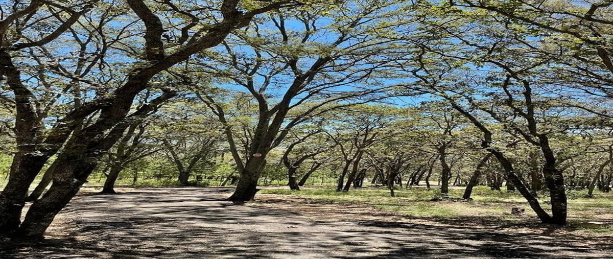 Foto de terreno habitacional en venta en los gonzalez , boca negra, villa del carbón, méxico, 28540849 No. 05