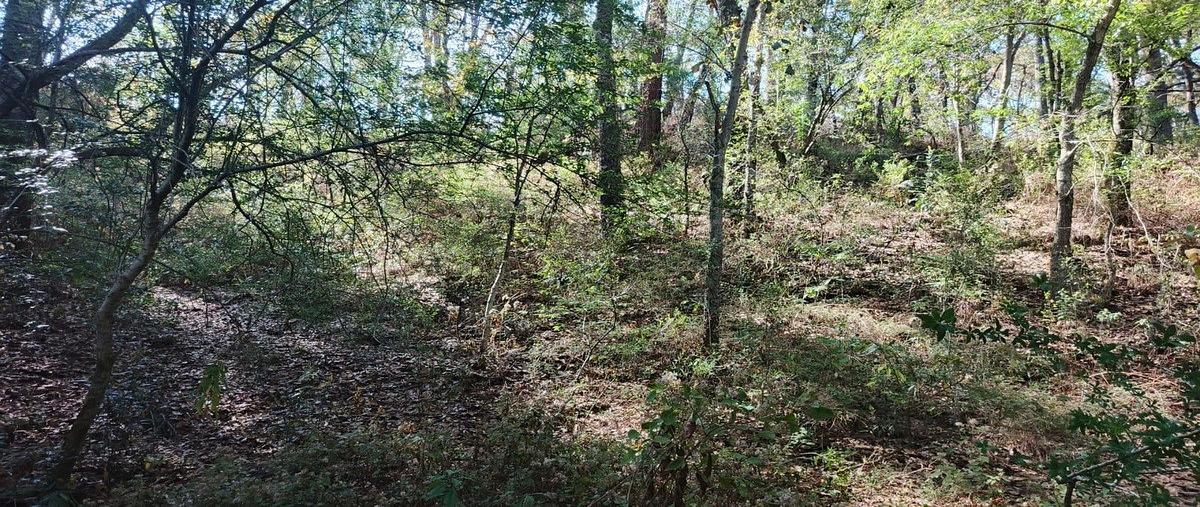 Foto de terreno habitacional en venta en los gonzalez , villa del carbón, villa del carbón, méxico, 0 No. 03