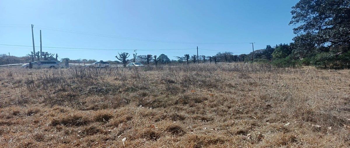 Foto de terreno habitacional en venta en los gonzalez , villa del carbón, villa del carbón, méxico, 31058776 No. 04