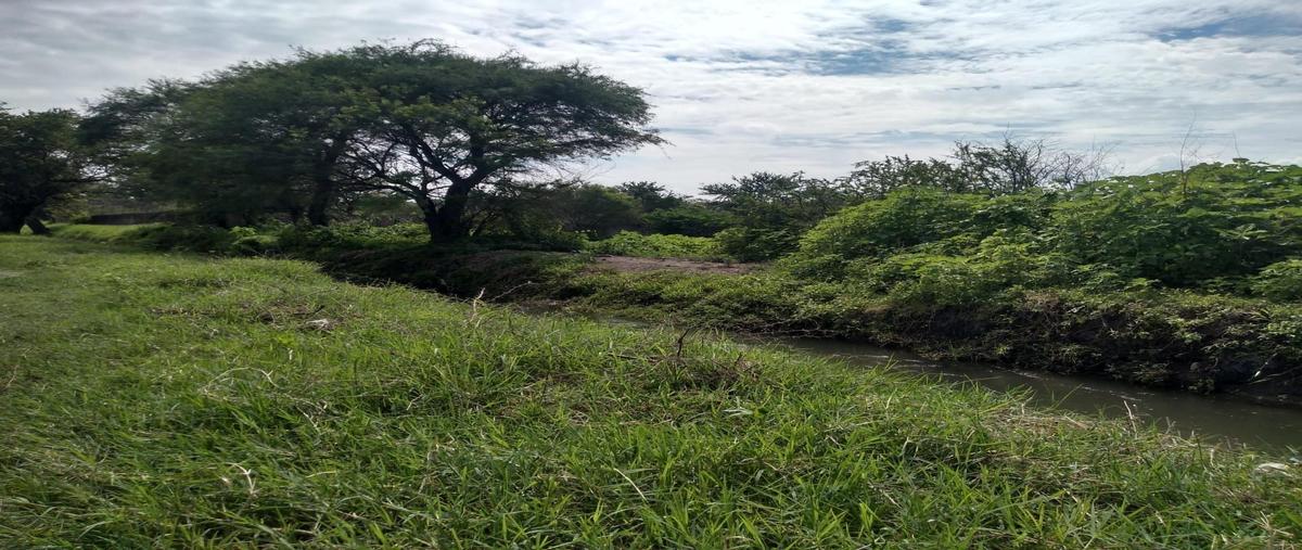 Foto de terreno habitacional en venta en  , los guajes, puente de ixtla, morelos, 0 No. 04