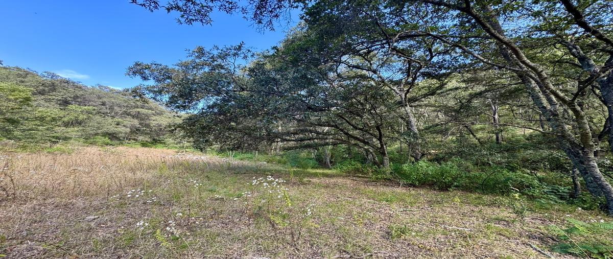 Foto de terreno habitacional en , los gutiérrez, villa del carbón, méxico, 29018882 foto 03 Foto de terreno habitacional en venta en , los gutiérrez, villa del carbón, méxico, 29018882 No. 03
