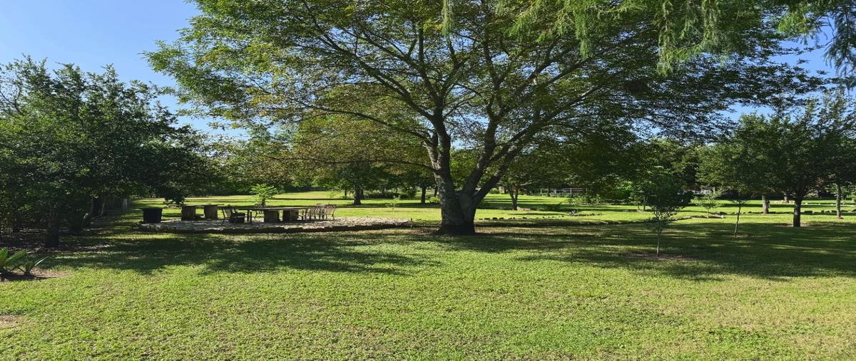 Foto de rancho en venta en  , los guzmán, allende, nuevo león, 0 No. 03
