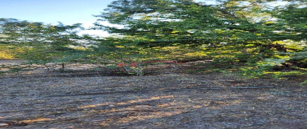 Foto de rancho en venta en los hornos 0, los hornos, cajeme, sonora, 0 No. 03