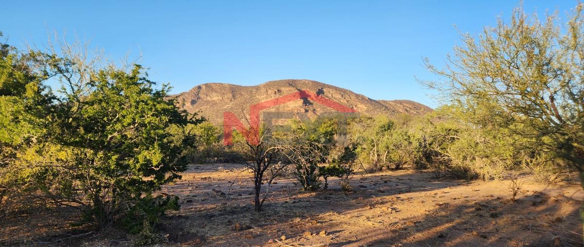 Foto de rancho en venta en los hornos 0, los hornos, cajeme, sonora, 0 No. 04