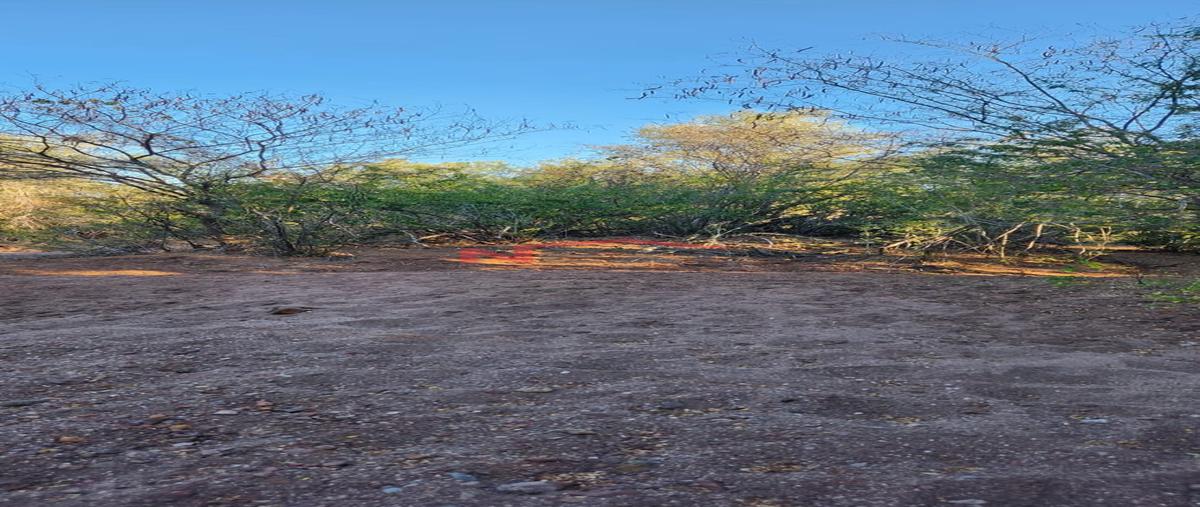 Foto de rancho en venta en los hornos 0, los hornos, cajeme, sonora, 0 No. 05