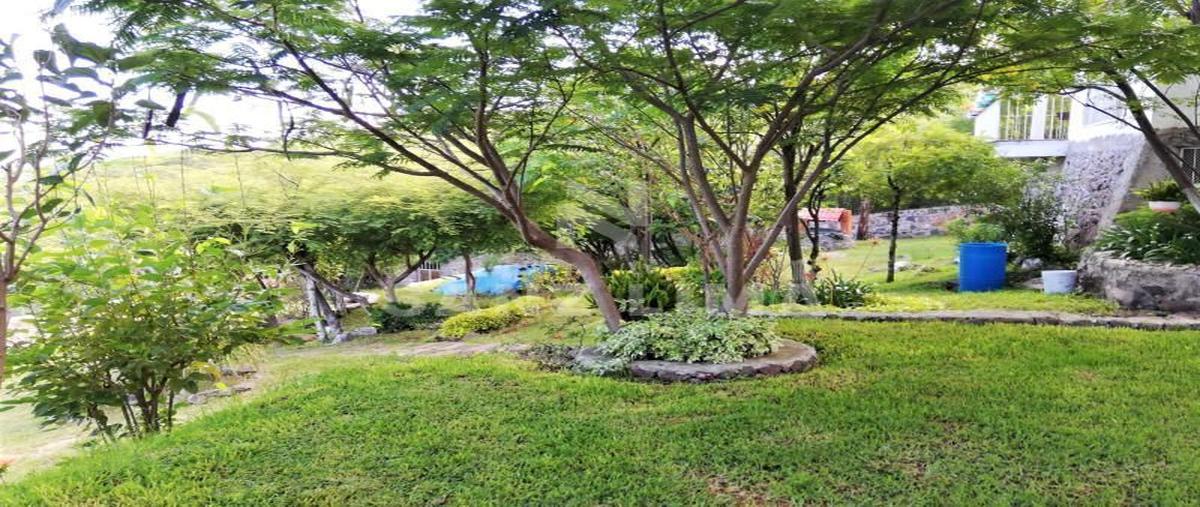 Foto de rancho en venta en los huesos , rincón de tamayo centro, celaya, guanajuato, 24014661 No. 04