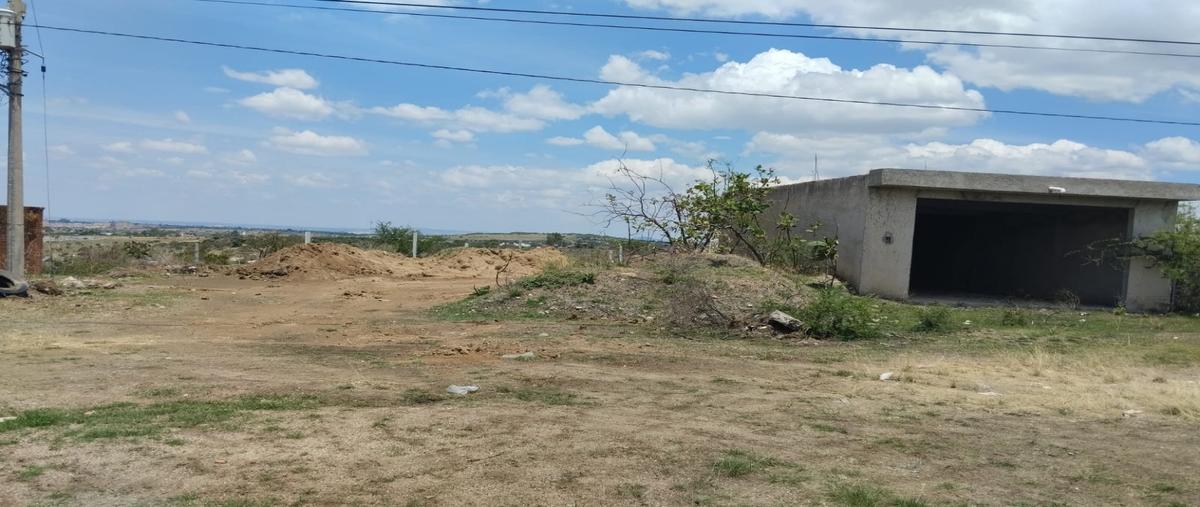 Foto de terreno habitacional en renta en  , los jacales (la loma), león, guanajuato, 27038949 No. 03