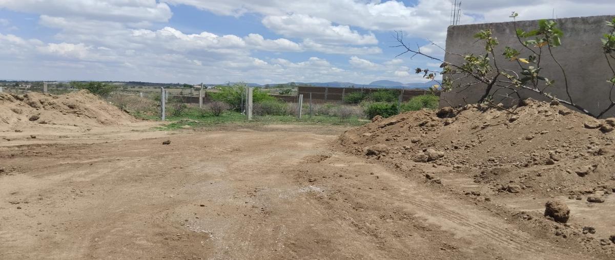 Foto de terreno habitacional en renta en  , los jacales (la loma), león, guanajuato, 27038949 No. 04
