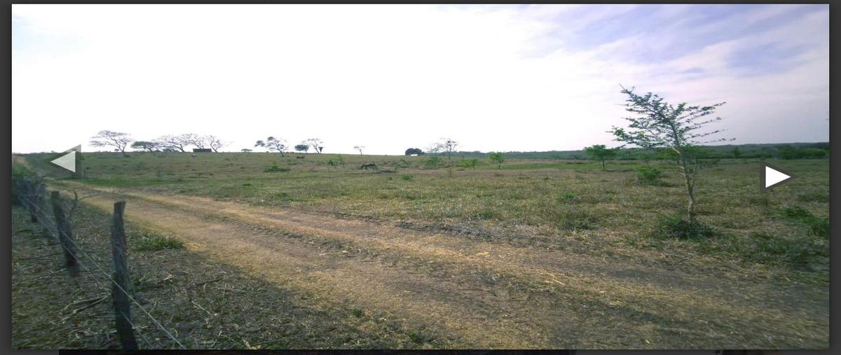 Foto de terreno habitacional en , los jobos, tampico alto, veracruz de ignacio de la llave, 0 foto 01 Foto de terreno habitacional en venta en , los jobos, tampico alto, veracruz de ignacio de la llave, 0 No. 01