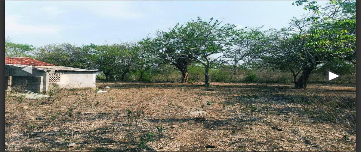Foto de terreno habitacional en , los jobos, tampico alto, veracruz de ignacio de la llave, 0 foto 02 Foto de terreno habitacional en venta en , los jobos, tampico alto, veracruz de ignacio de la llave, 0 No. 02