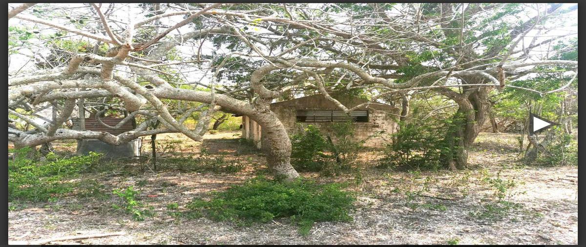 Foto de terreno habitacional en , los jobos, tampico alto, veracruz de ignacio de la llave, 0 foto 04 Foto de terreno habitacional en venta en , los jobos, tampico alto, veracruz de ignacio de la llave, 0 No. 04