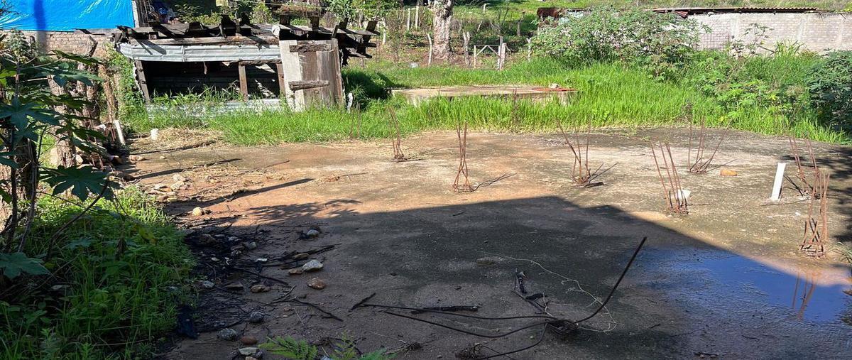 Foto de terreno habitacional en venta en los laureles , las petaquillas, chilpancingo de los bravo, guerrero, 0 No. 05