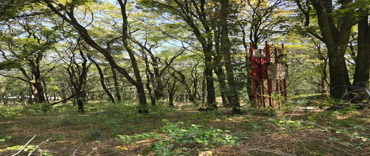 Foto de terreno habitacional en venta en los laureles , santa maría mazatla, jilotzingo, méxico, 0 No. 05