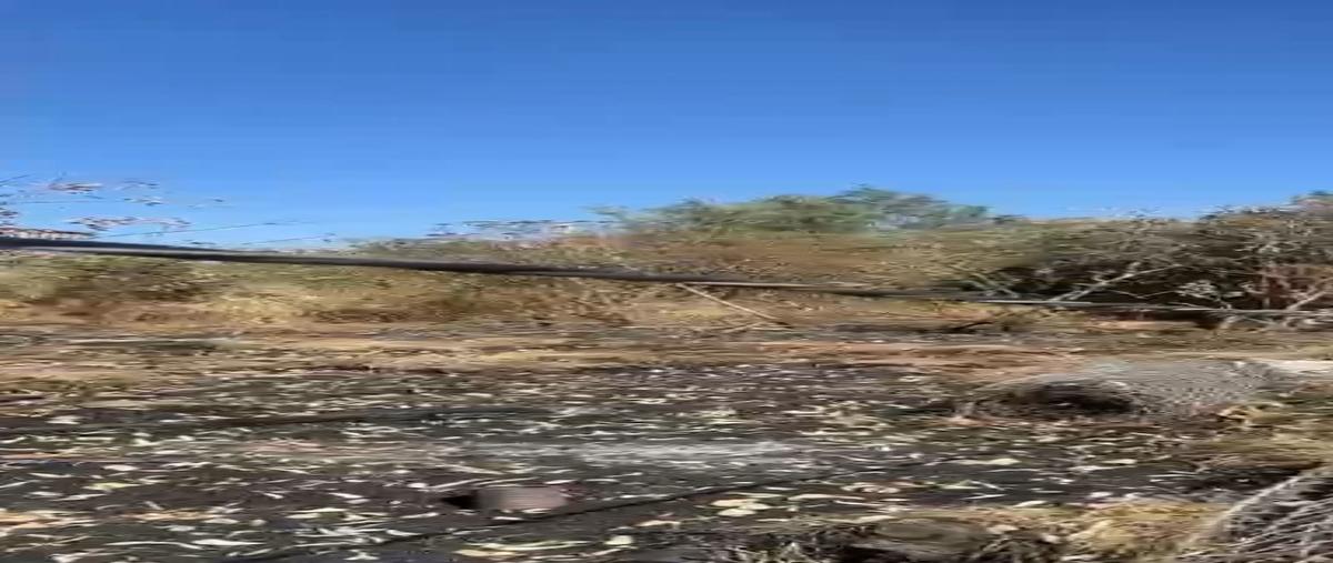 Foto de terreno habitacional en renta en  , los laureles, tlajomulco de zúñiga, jalisco, 29510067 No. 04