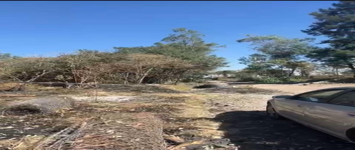 Foto de terreno habitacional en renta en  , los laureles, tlajomulco de zúñiga, jalisco, 29510067 No. 05