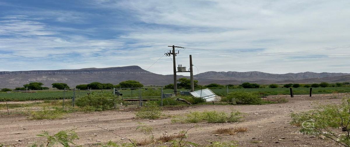 Foto de terreno habitacional en venta en  , los leones, aldama, chihuahua, 0 No. 05