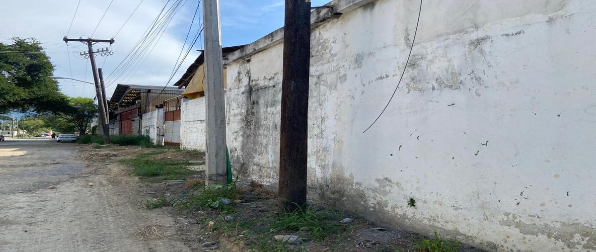 Foto de terreno comercial en renta en  , los lermas, guadalupe, nuevo león, 0 No. 04