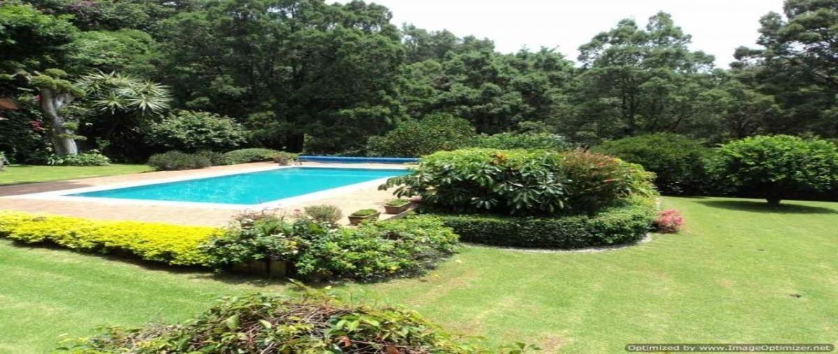 Foto de casa en venta en los limoneros, cuernavaca, morelos , los limoneros, cuernavaca, morelos, 24159429 No. 04