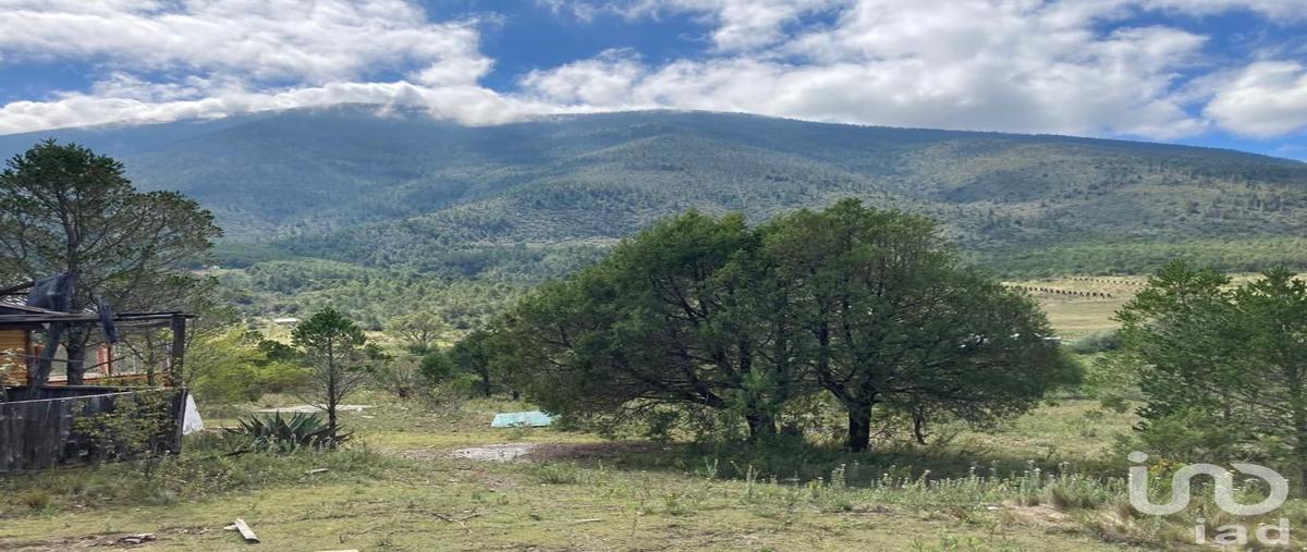Foto de terreno habitacional en los lirios 76, los lirios, arteaga, coahuila de zaragoza, 28719935 foto 05 Foto de terreno habitacional en venta en los lirios 76, los lirios, arteaga, coahuila de zaragoza, 28719935 No. 05